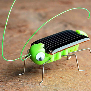 Solar Powered Grasshopper Toy